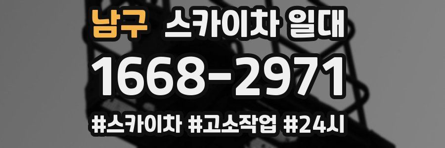 남구 스카이차 일대