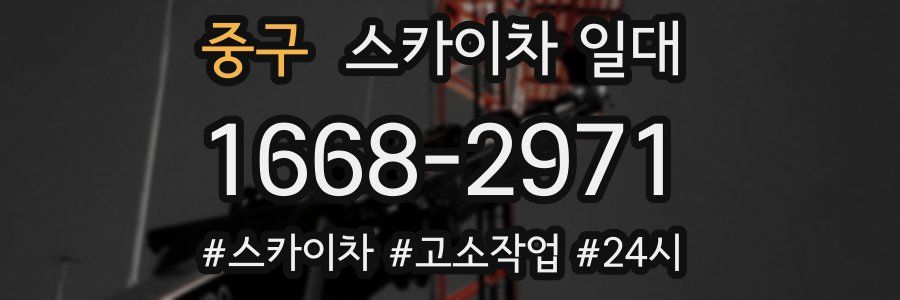 중구 스카이차 일대