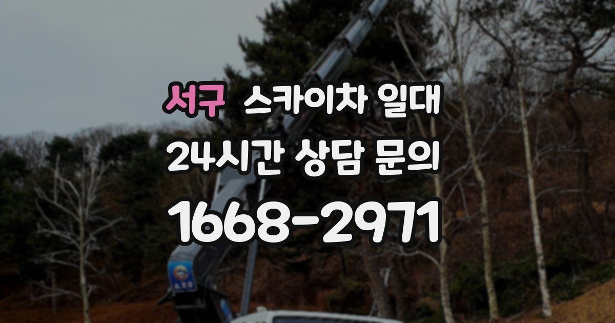 서구 스카이차 일대