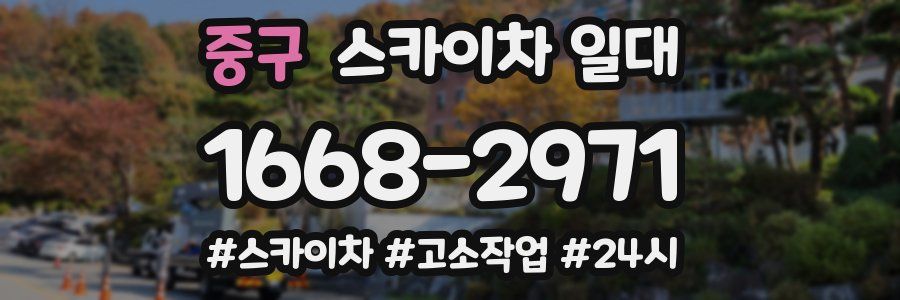 중구 스카이차 일대