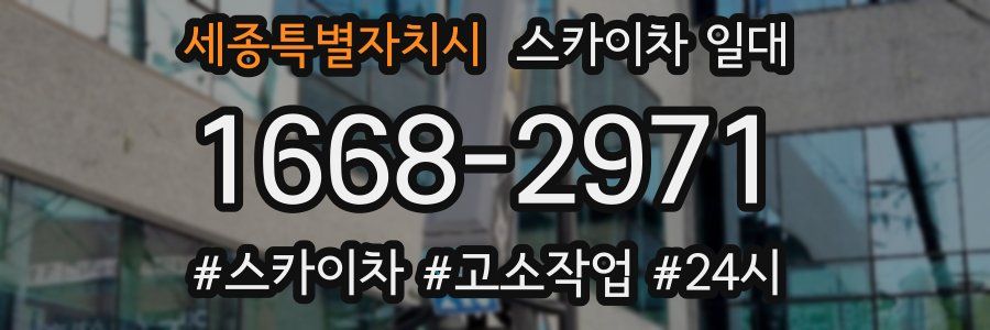 세종특별자치시 스카이차 일대