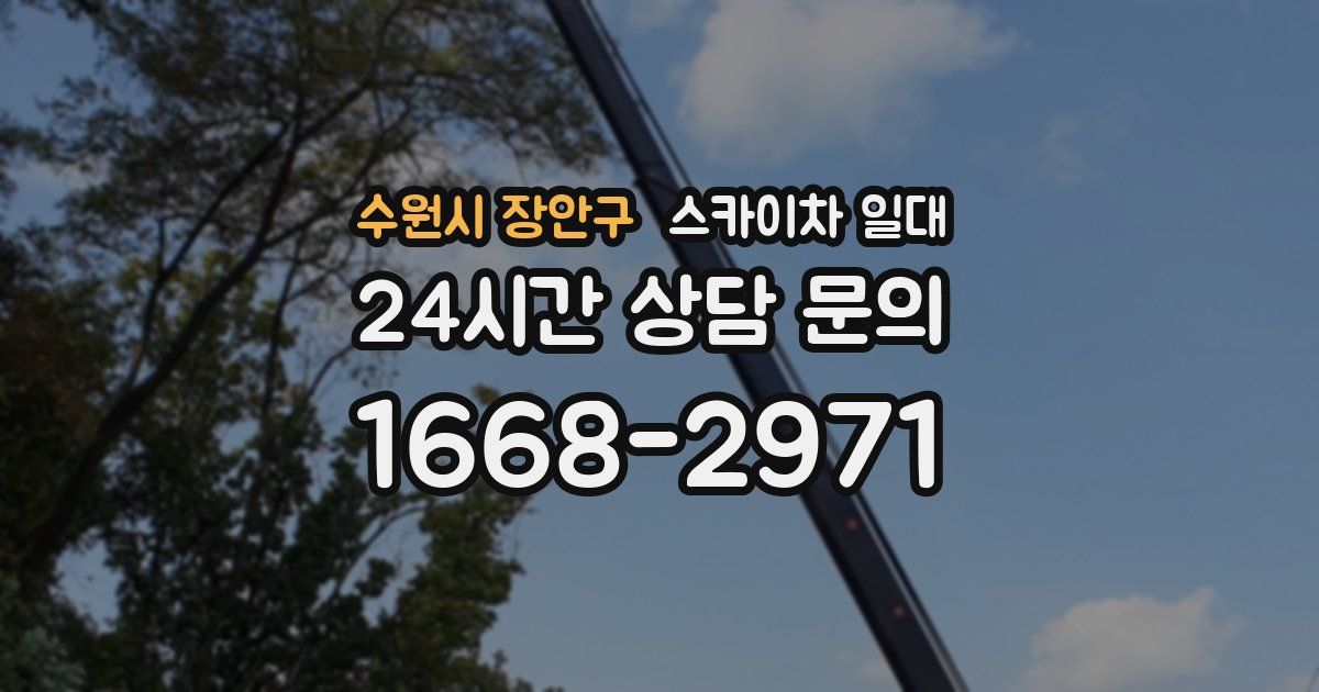수원시 장안구 스카이차 일대