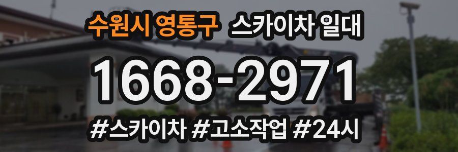 수원시 영통구 스카이차 일대
