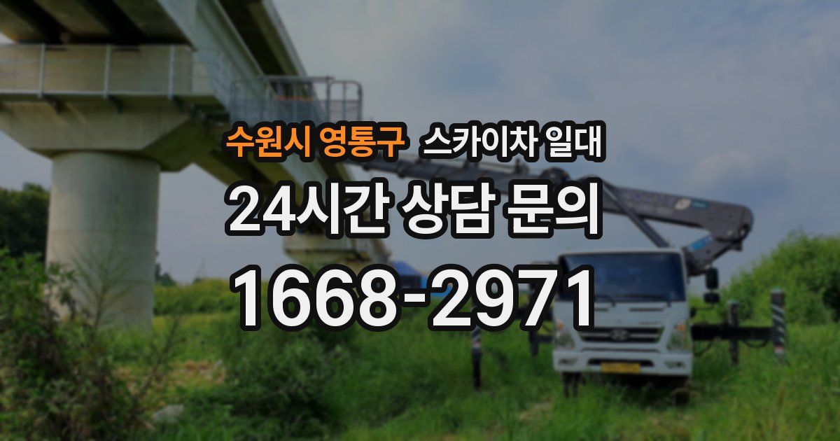 수원시 영통구 스카이차 일대