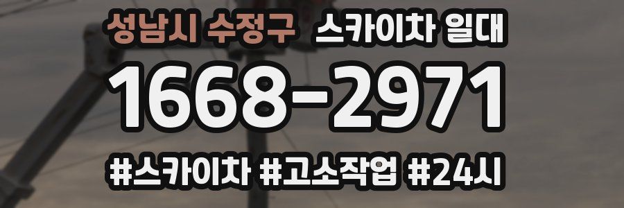 성남시 수정구 스카이차 일대
