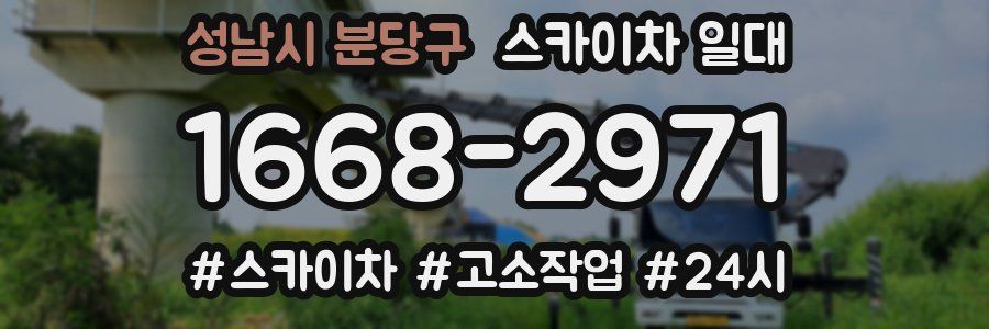 성남시 분당구 스카이차 일대