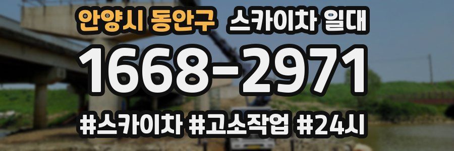 안양시 동안구 스카이차 일대