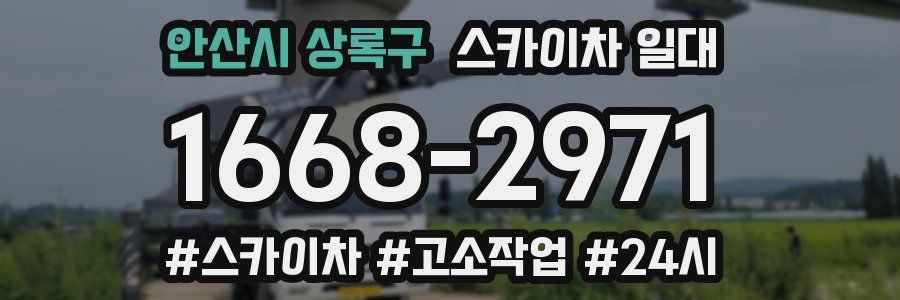 안산시 상록구 스카이차 일대
