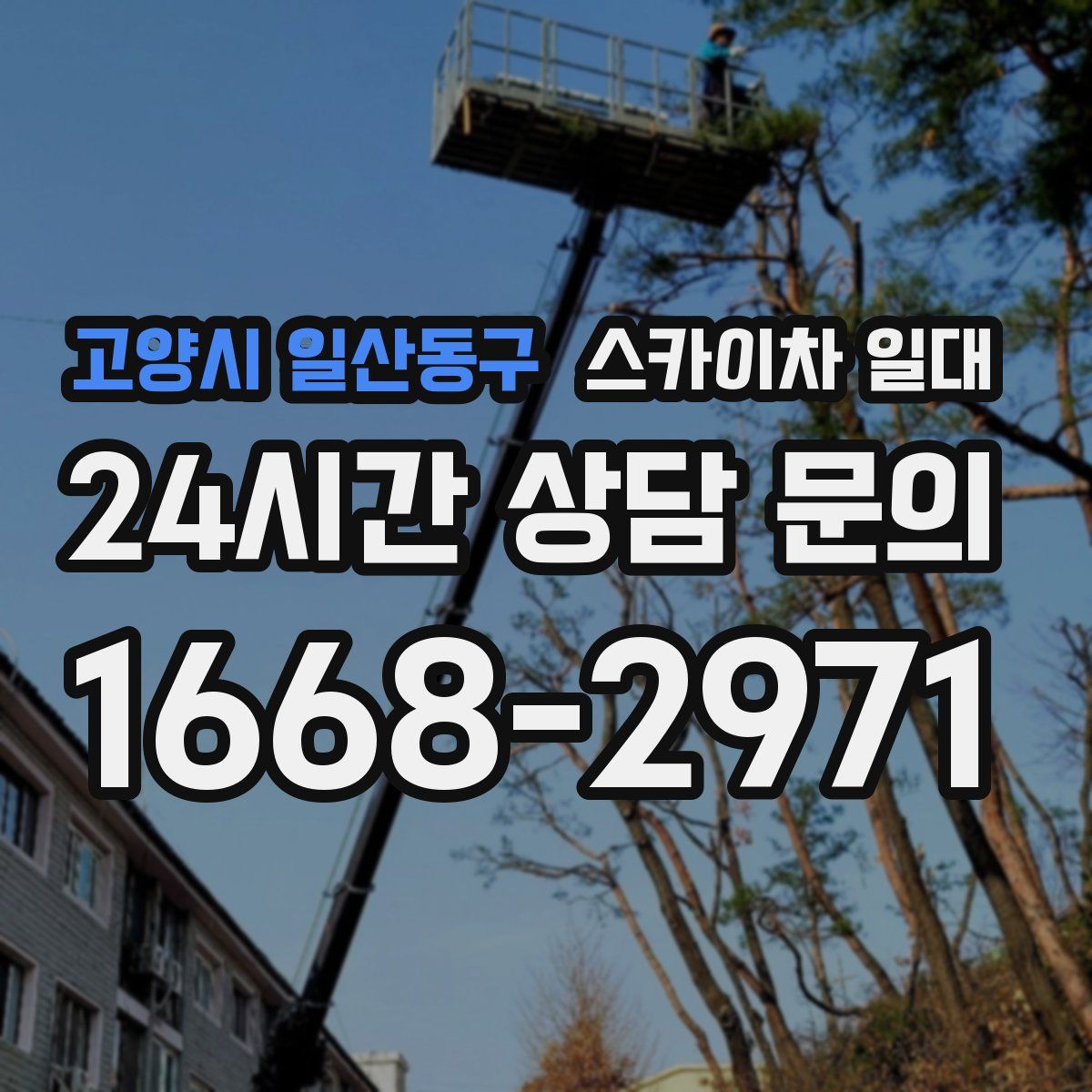 고양시 일산동구 스카이차 일대