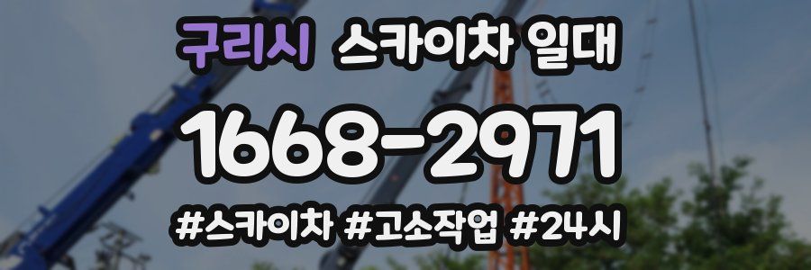 구리시 스카이차 일대