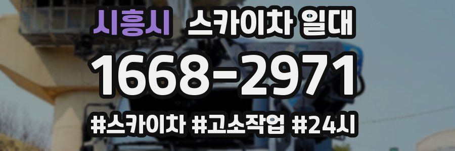 시흥시 스카이차 일대