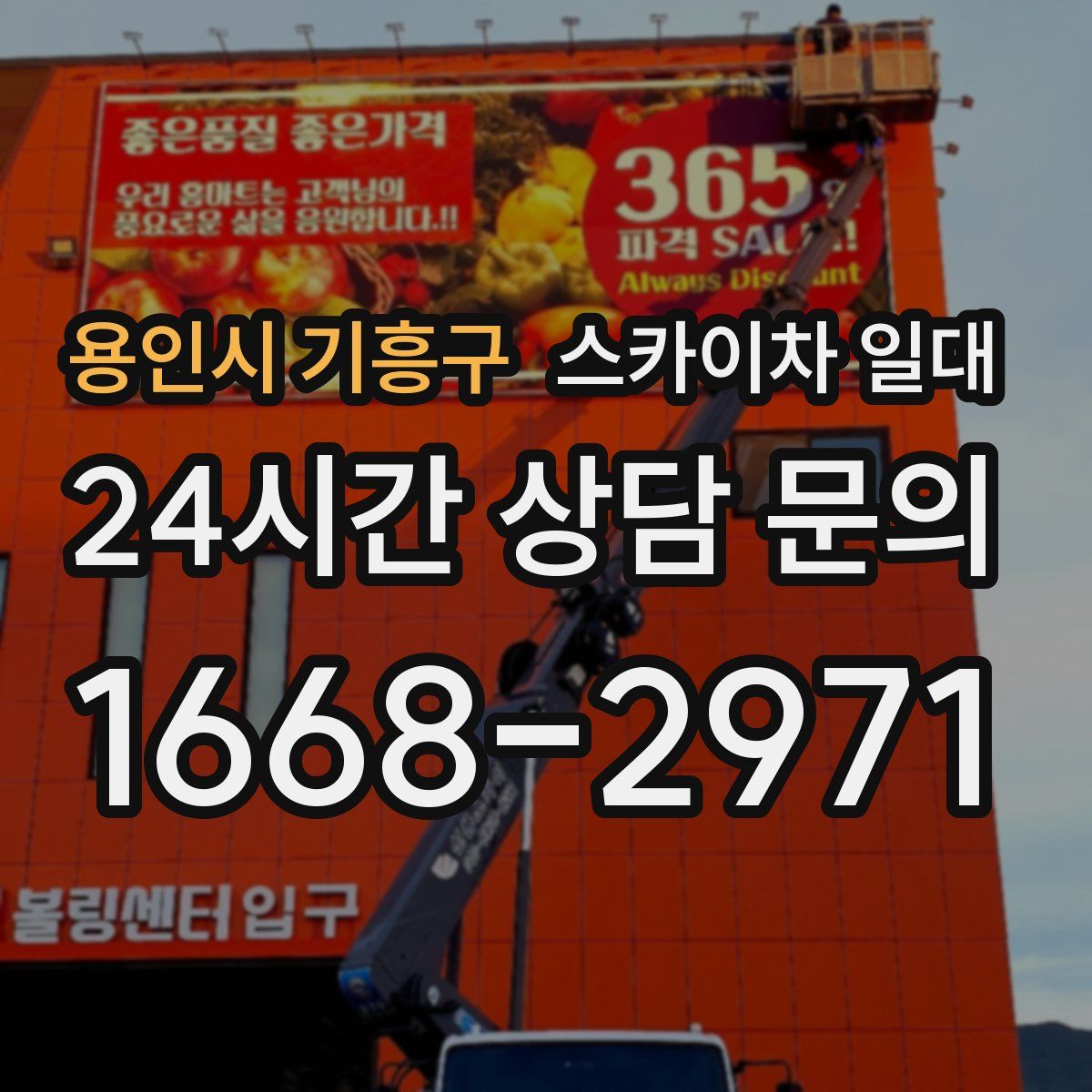 용인시 기흥구 스카이차 일대