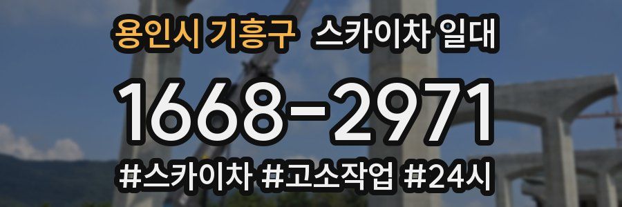 용인시 기흥구 스카이차 일대