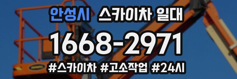 안성시 스카이차 일대