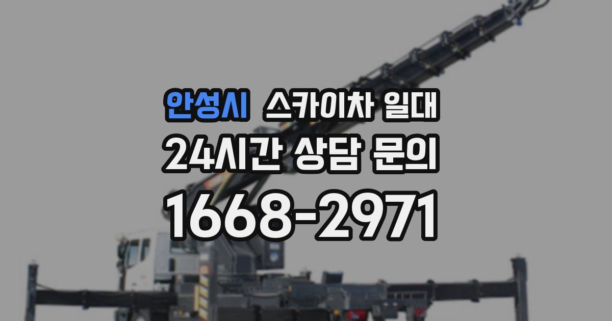 안성시 스카이차 일대