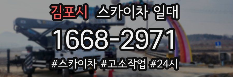 김포시 스카이차 일대