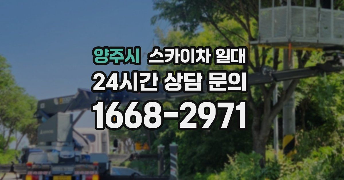 양주시 스카이차 일대