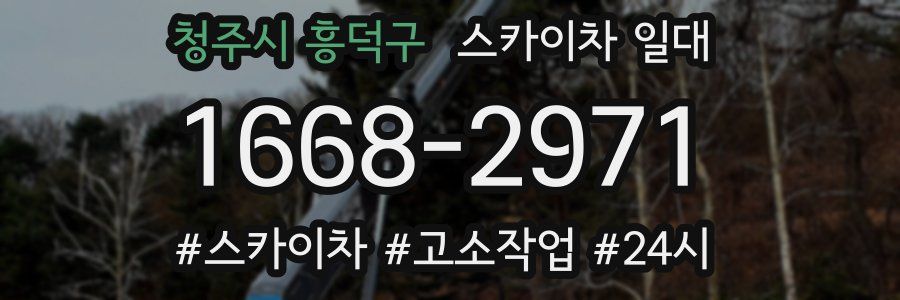 청주시 흥덕구 스카이차 일대