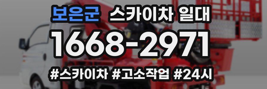 보은군 스카이차 일대
