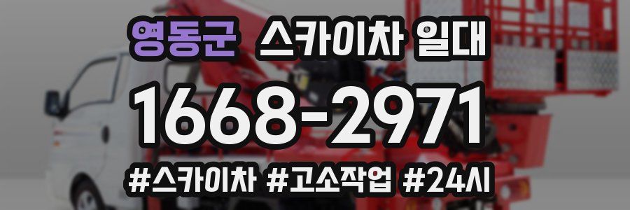 영동군 스카이차 일대