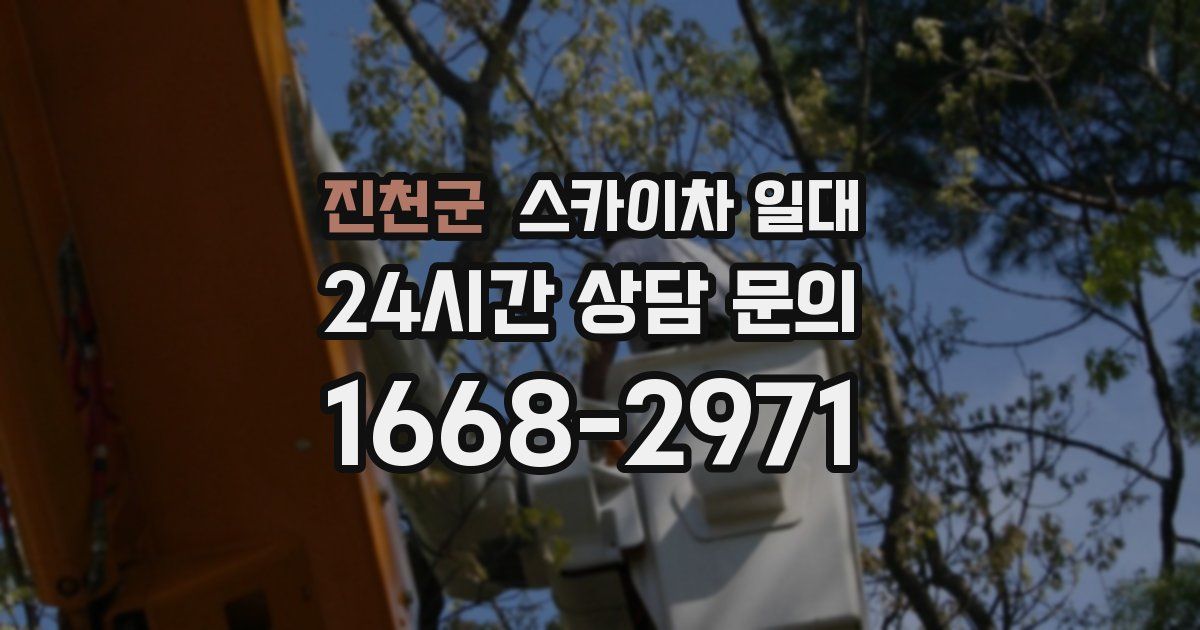 진천군 스카이차 일대