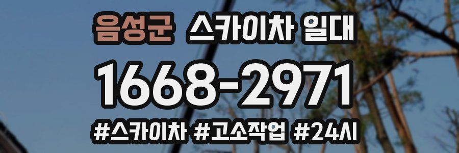 음성군 스카이차 일대