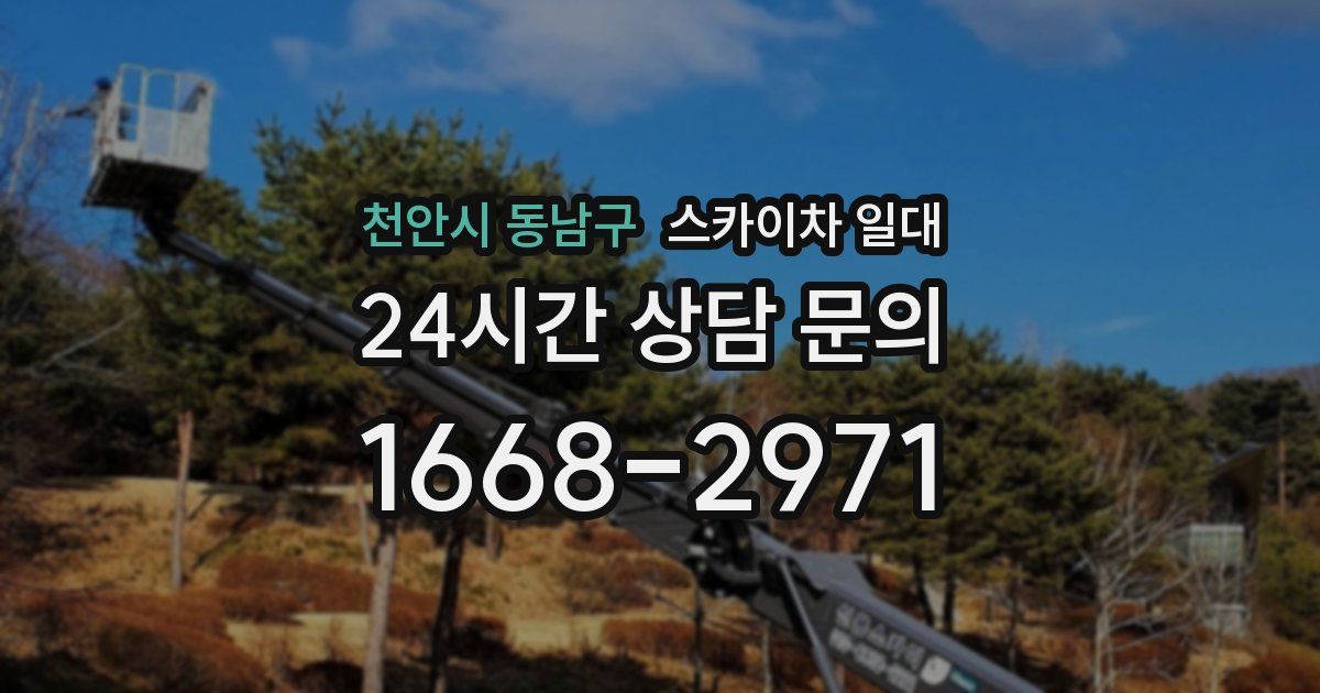 천안시 동남구 스카이차 일대