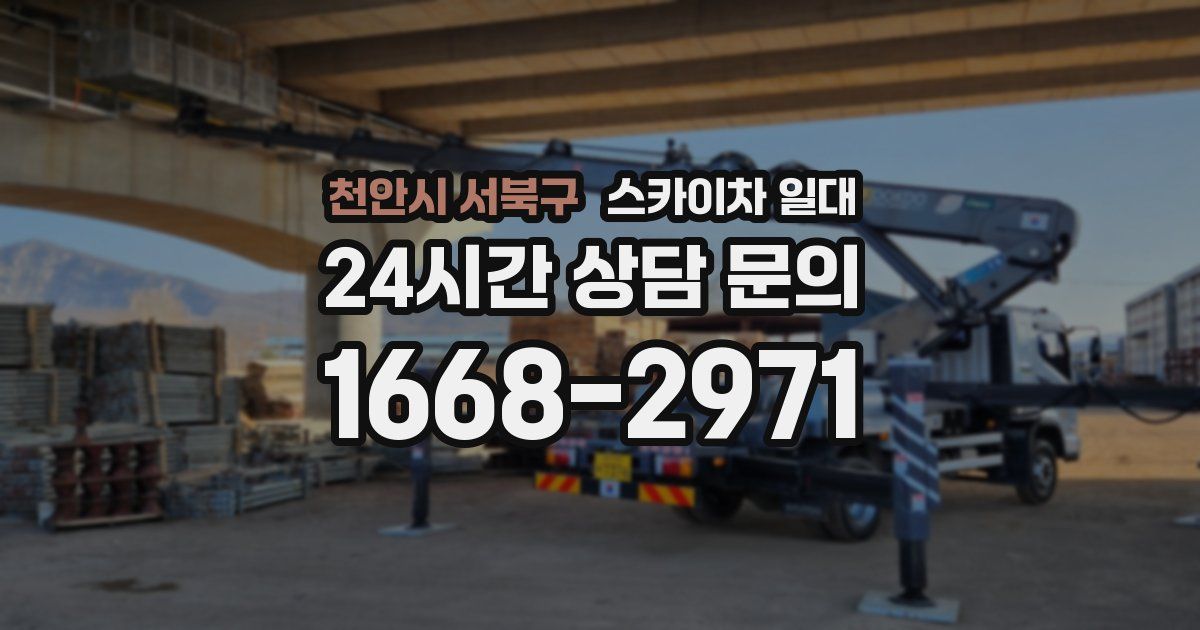 천안시 서북구 스카이차 일대