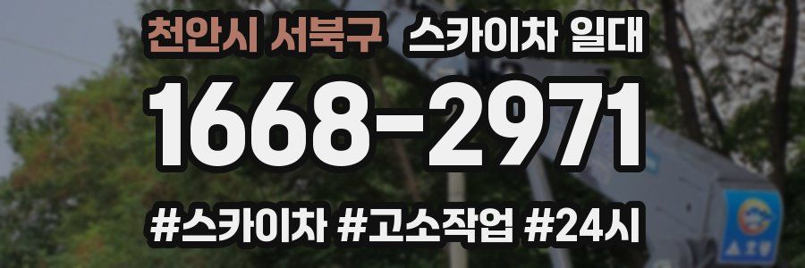 천안시 서북구 스카이차 일대