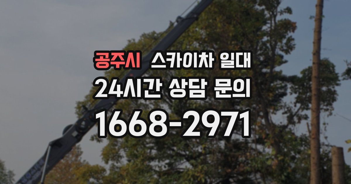 공주시 스카이차 일대