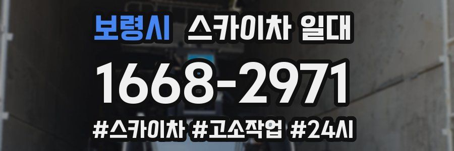 보령시 스카이차 일대