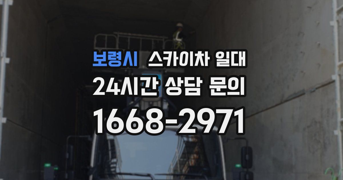 보령시 스카이차 일대