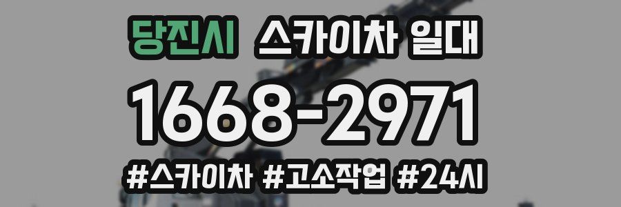 당진시 스카이차 일대