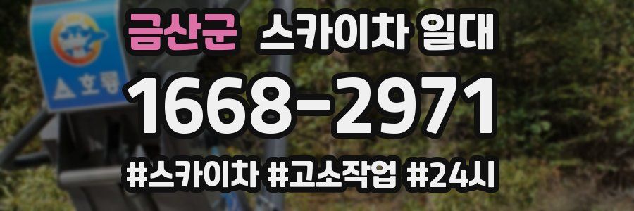 금산군 스카이차 일대