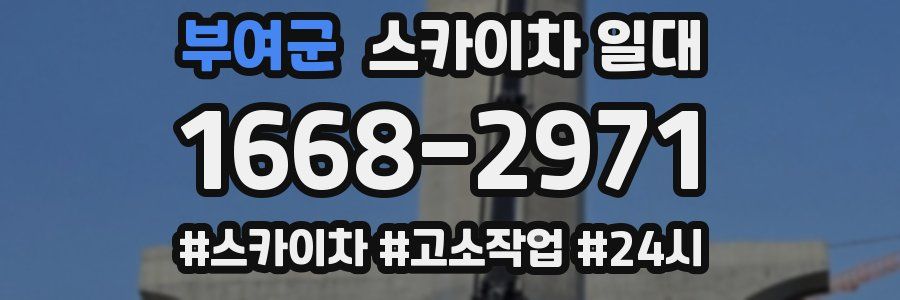 부여군 스카이차 일대