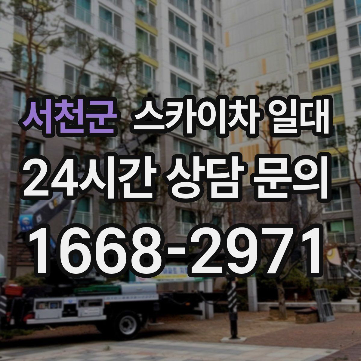 서천군 스카이차 일대