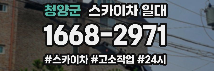 청양군 스카이차 일대
