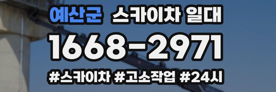 예산군 스카이차 일대