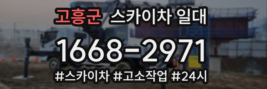 고흥군 스카이차 일대