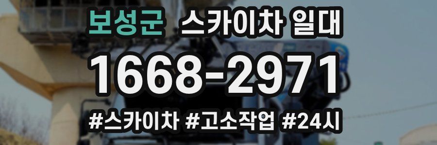 보성군 스카이차 일대