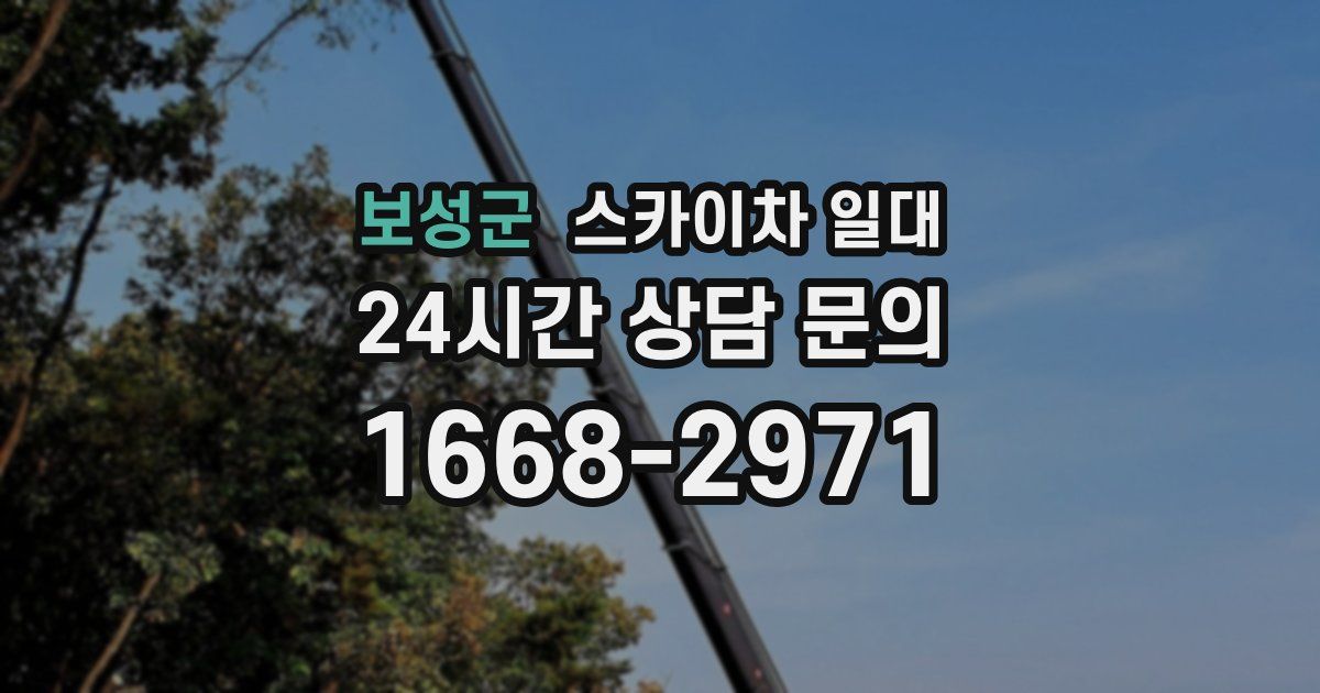 보성군 스카이차 일대