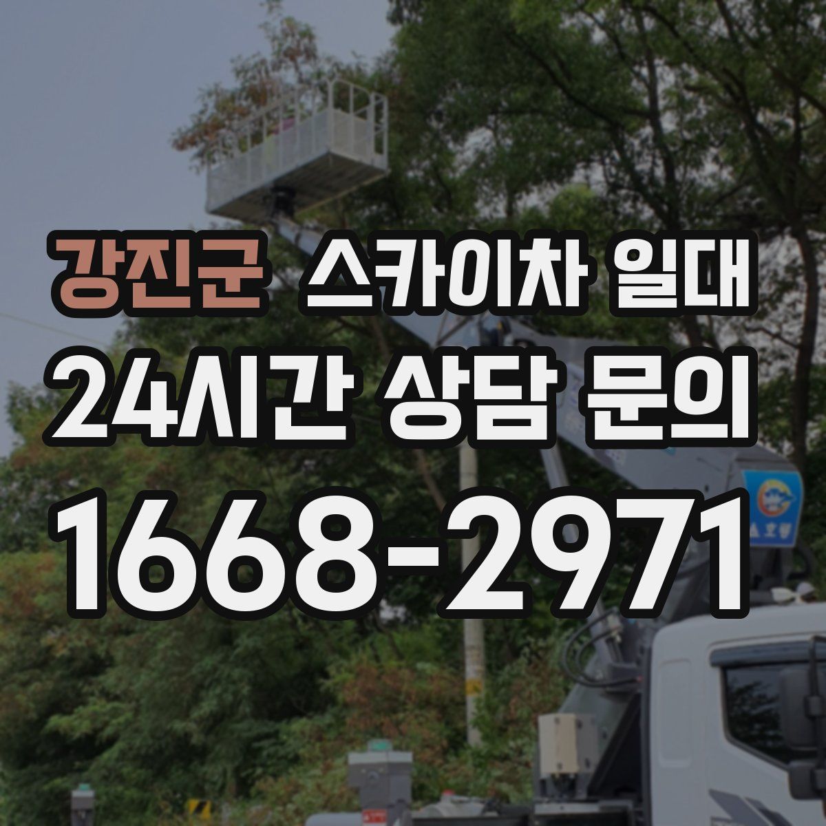 강진군 스카이차 일대