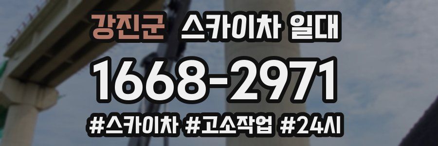 강진군 스카이차 일대