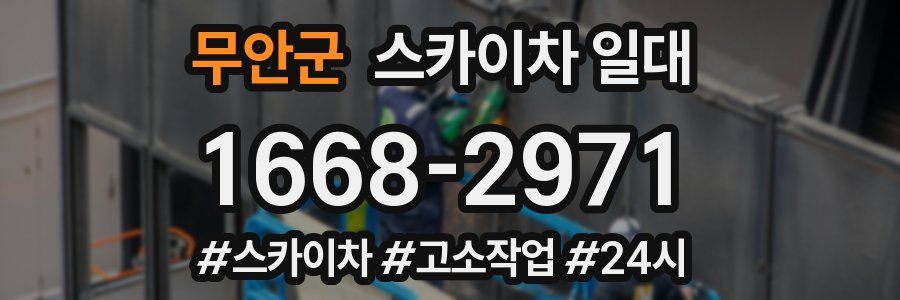 무안군 스카이차 일대
