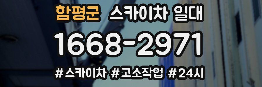 함평군 스카이차 일대