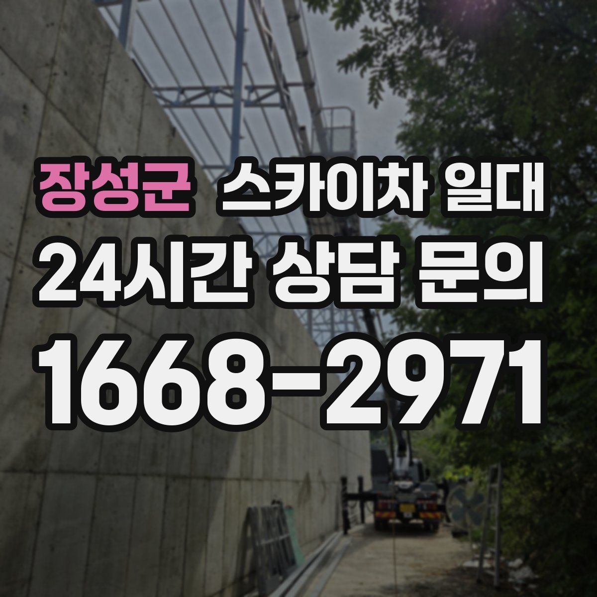 장성군 스카이차 일대