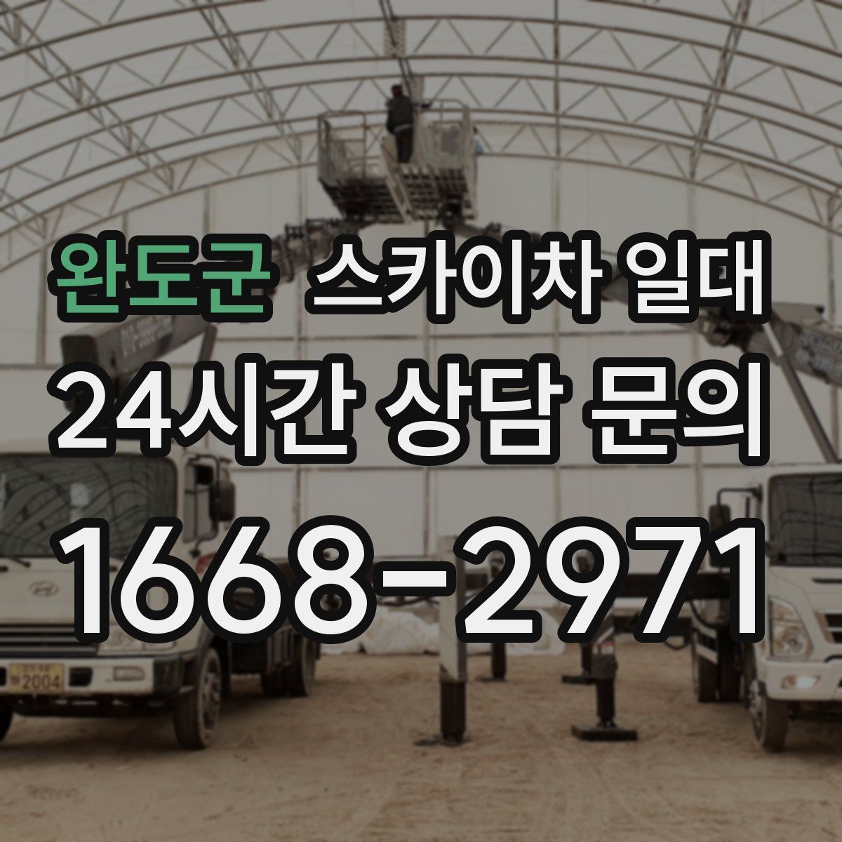 완도군 스카이차 일대