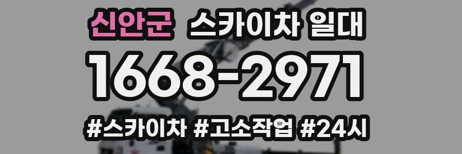 신안군 스카이차 일대
