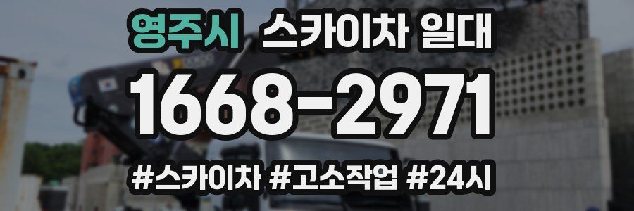 영주시 스카이차 일대