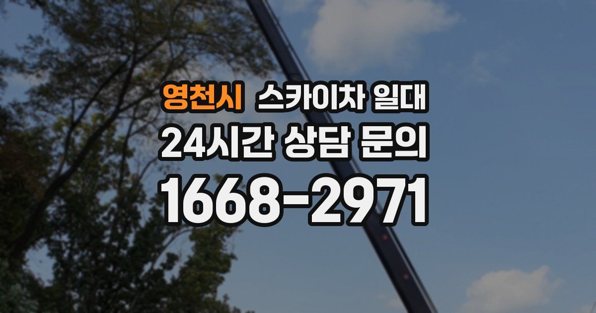 영천시 스카이차 일대
